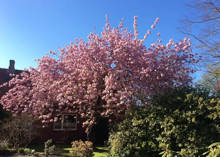 Haus-magarethe * Detern